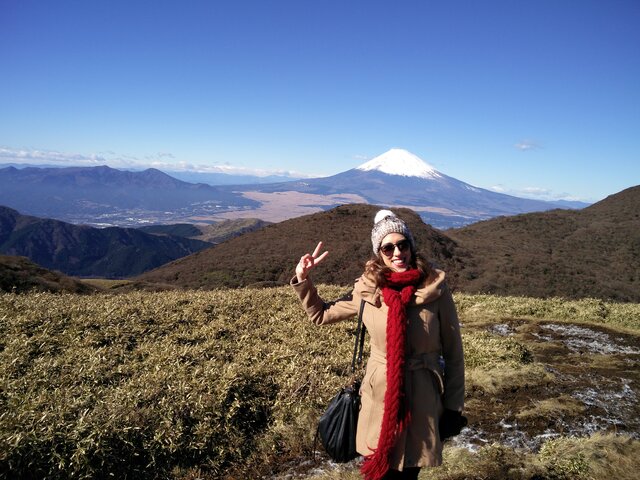 Vistas del Monte Fuji