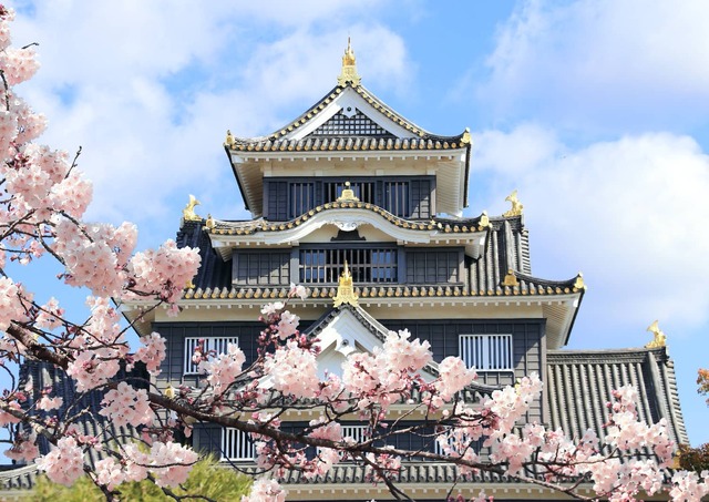 Paisaje urbano de Okayama