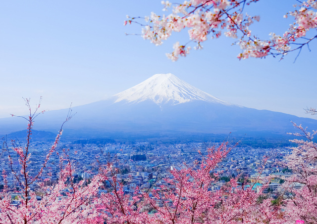 Monte Fuji con cerezos en flor en primavera