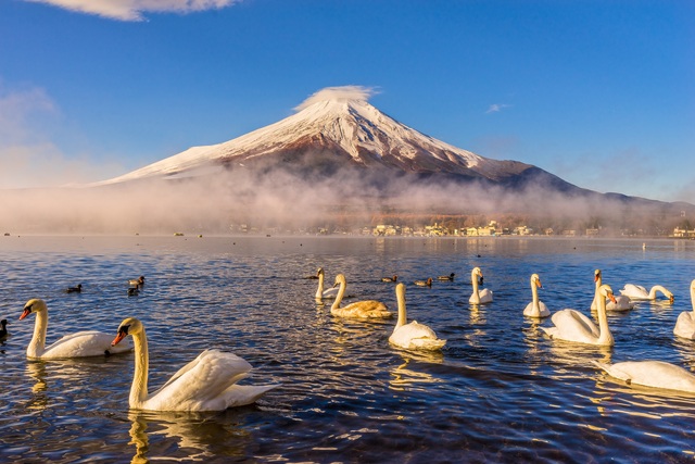 El monte Fuji visto desde el lago Yamanaka