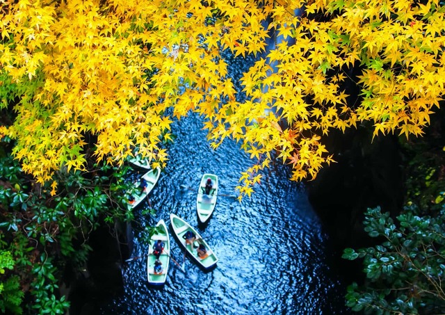 Paseo en barca de remos por el desfiladero de Takachiho