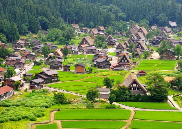 El pueblo de Ogimachi en verano