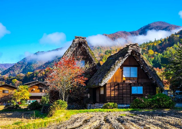 El pueblo de Ogimachi en otoño