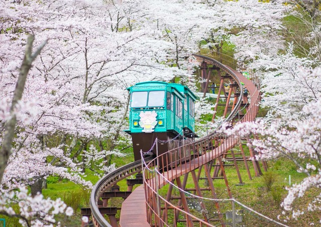 Monorraíl en el Parque de las Ruinas del Castillo de Funaoke, Sendai
