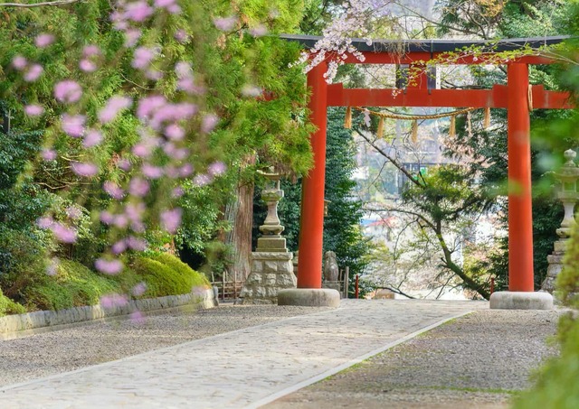 Puerta Torii, Santuario Osaki Hachimangu, Sendai