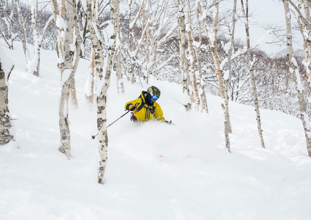 Esquí fuera de pista en Niseko