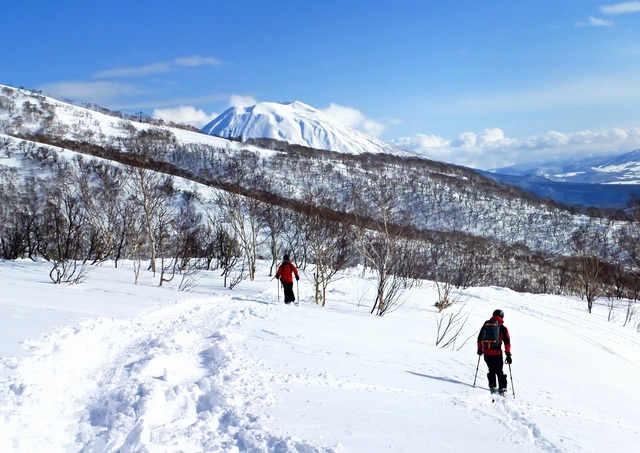 Esquí fuera de pista en Niseko