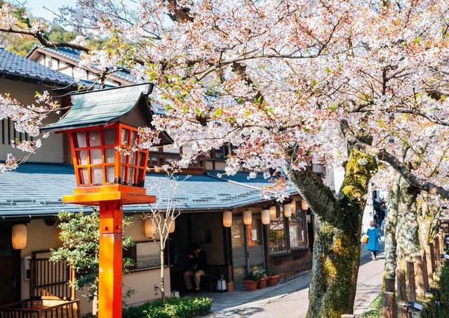 El pueblo de Kinosaki Onsen durante la floración de los cerezos de primavera
