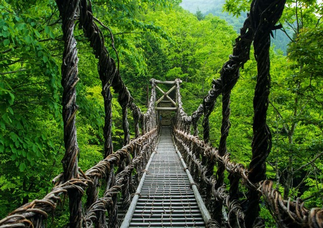 Uno de los tres puentes de lianas que quedan