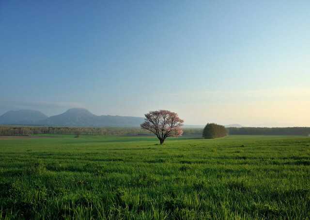 Campo en el Paso de Bihoro