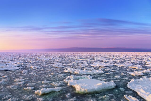 Hielo flotante en Shiretoko