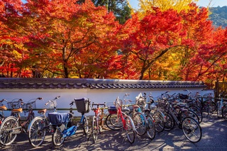 Bicicleta en Kioto