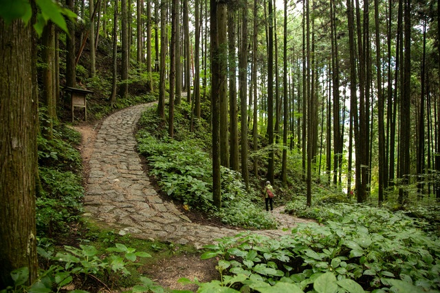 Sendero de Nakasendo