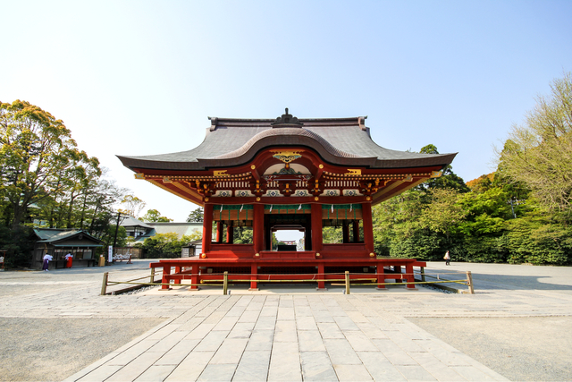 Santuario Tsurugaoka Hachimangu (Kamakura)