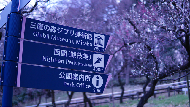 Visita al Museo Ghibli