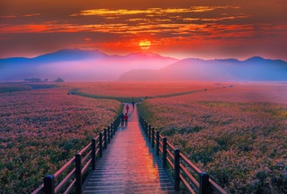 Bahía de Suncheon (Yeosu)