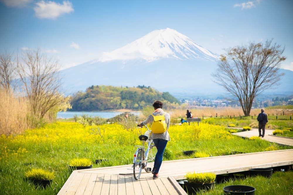 Monte fuji con nieve y jardín de flores a lo largo del puente de madera en el lago Kawaguchiko en Japón