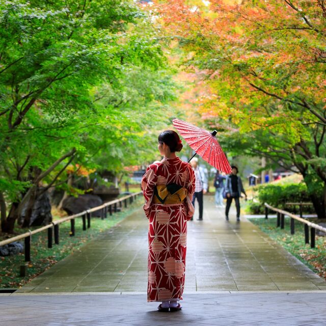 Mujer japonesa con un kimono rojo que sostiene un paraguas, caminando tranquilamente por un parque público con hojas de otoño en Japón.