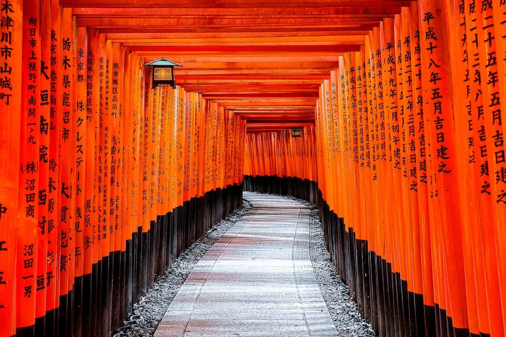 Santuario de Fushimi Inari en Kioto (Japón), con miles de puertas torii de color naranja bermellón.