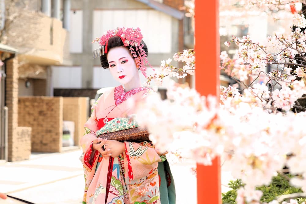 Maiko en camino de sakura con paraguas rosa