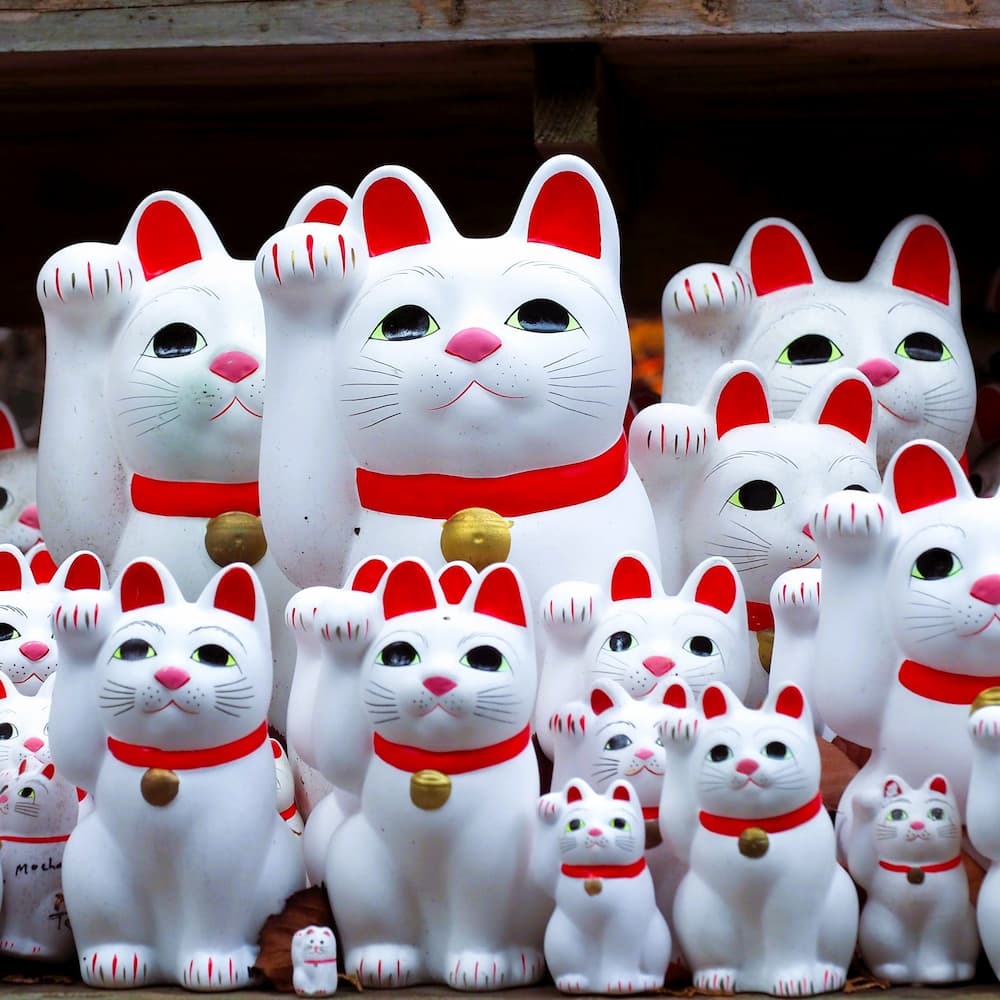 Gatos de la suerte Maneki-neko en el santuario de Goutokuji, Tokio, Japón