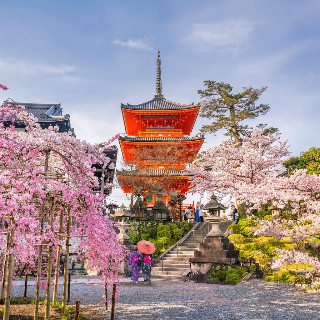 Cerezos en el templo Kiyomizu dera de Kioto