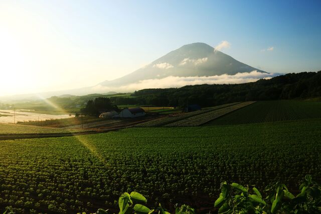 Mt. Yotei en verano, Niseko