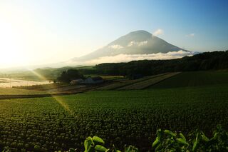 Mt. Yotei en verano, Niseko