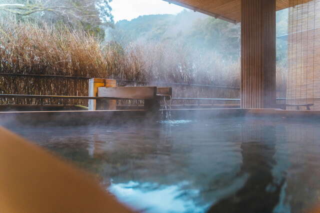 Aguas termales en un ryokan