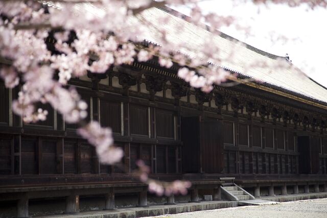 Templo Sanjusangendo