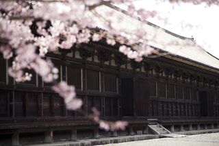 Templo Sanjusangendo