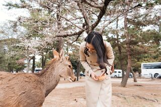 Parque de Nara 