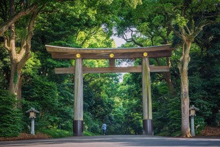 Santuario Meiji Jingu en Tokio 