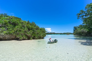 El manglar se encuentra con el mar, Okinawa
