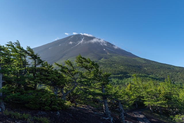 Vista del monte Fuji desde la 5ª estación