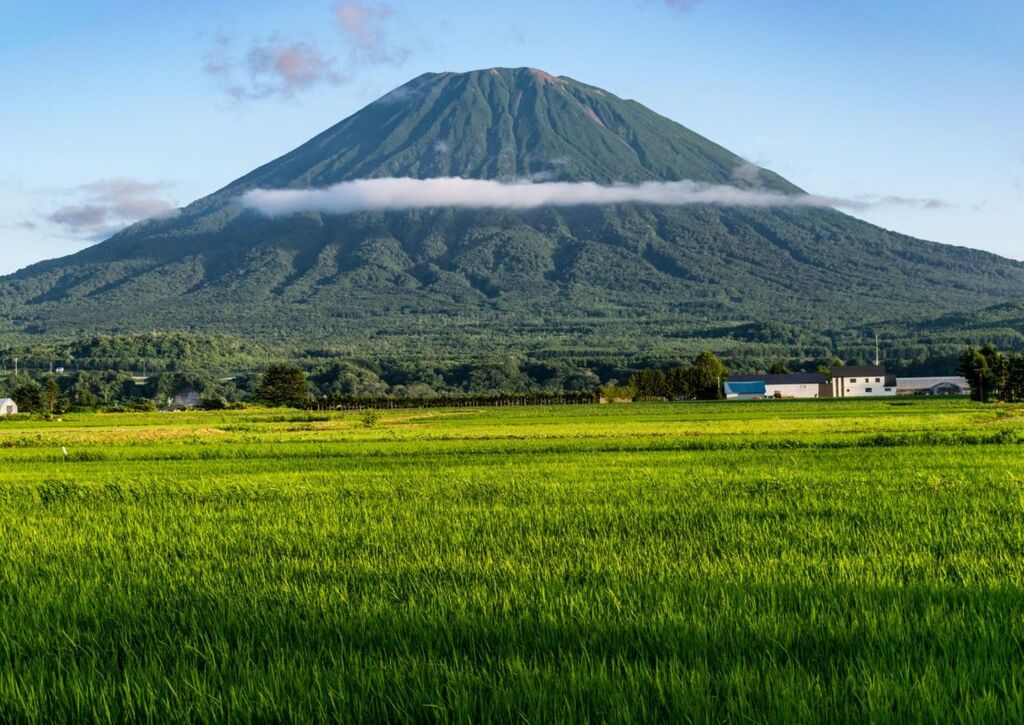 Monte Yotei con arrozales, Hokkaido
