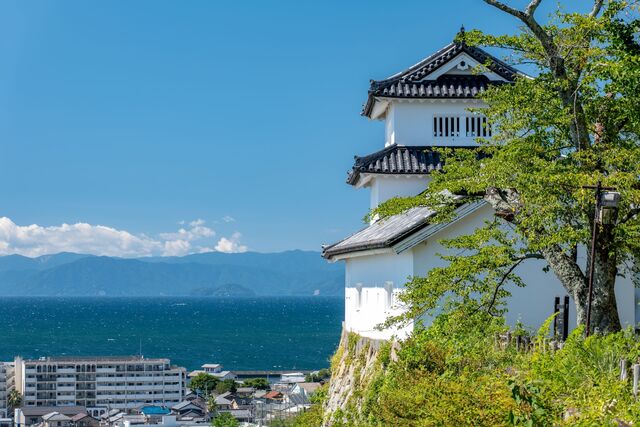 El castillo de Hikone, con vistas al lago Biwa 