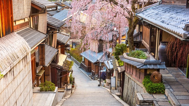Calles tradicionales de Kioto con cerezos florecidos 
