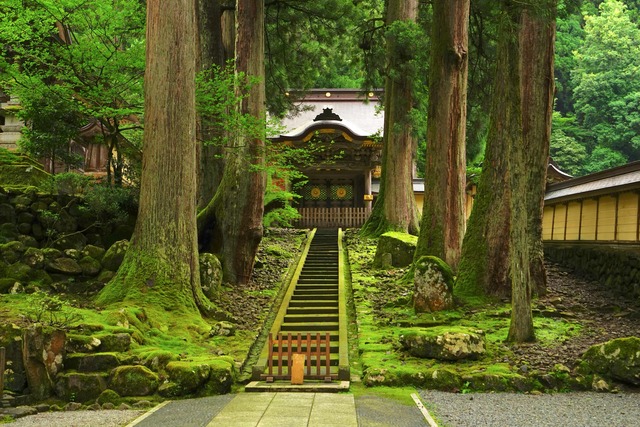 Templo Eiheiji, Fukui 