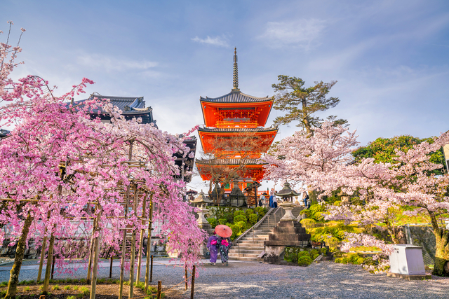 Kiyomizu-dera en Kioto durante la época de Sakura 