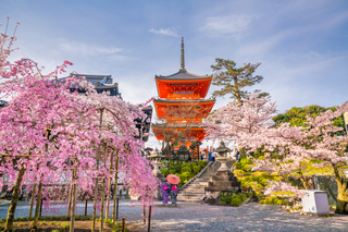 Kiyomizu-dera en Kioto durante la época de Sakura 