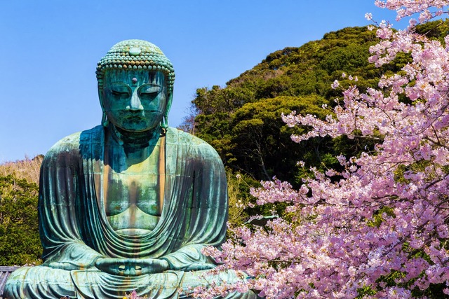 Estatua del Gran Buda de Kamakura en época de sakura 