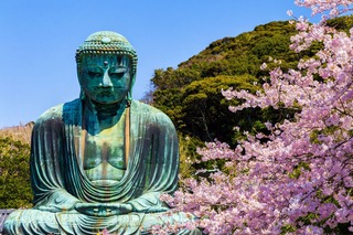 Estatua del Gran Buda de Kamakura en época de sakura 