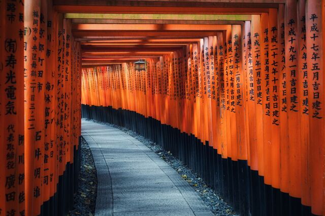 Luz filtrándose entre los torii del santuario Fushimi Inari en Kioto 