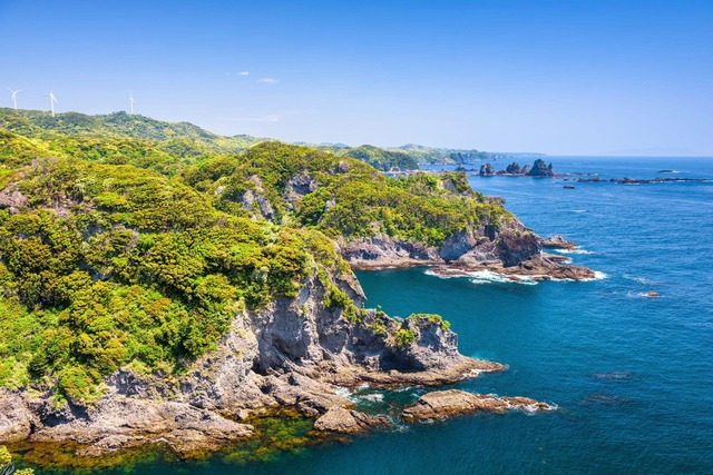 Costa de Jogasaki en Izu 