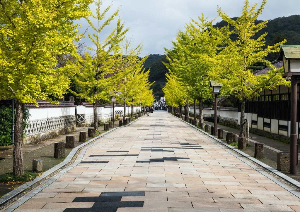 Calle Tonomachi, Tsuwano
