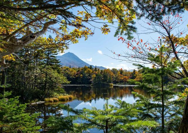 Parque Nacional de Shiretoko