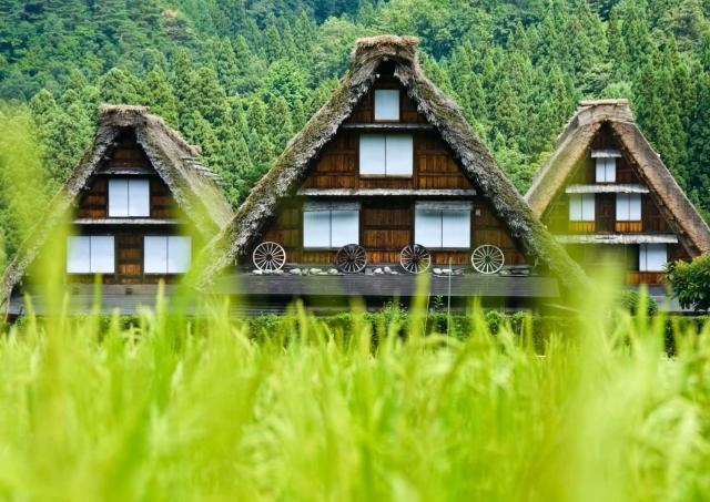 Casas tradicionales gassho-zukuri, Shirakawa-go