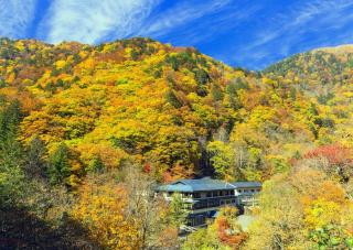 Bosques de Izu-kogen en otoño