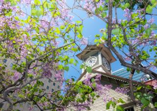Torre del reloj de Sapporo